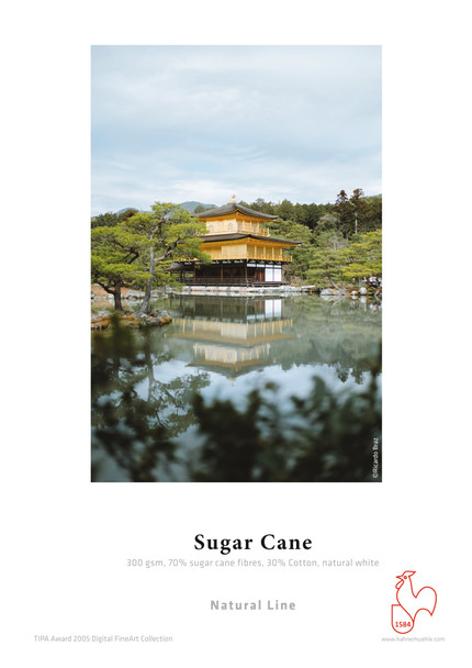 Hahnemühle Sugar Cane 300gsm Natural Line FineArt Inkjet Paper Roll, 36" x 12m, Natural White