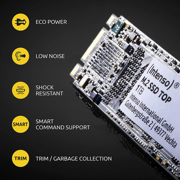 Intenso 256GB SSD M.2 SATA III Top performance Internal SSD Solid State Drive