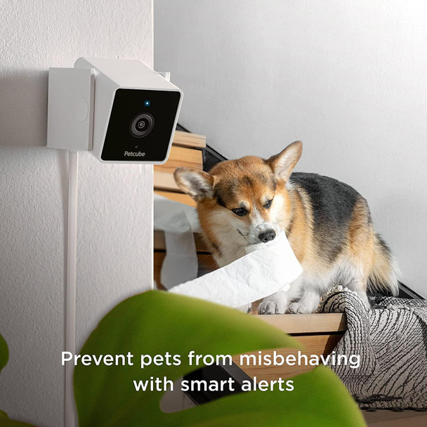 Petcube Cam Pet Monitoring Camera FHD 1080p Built in Vet Chat for Cats & Dogs
