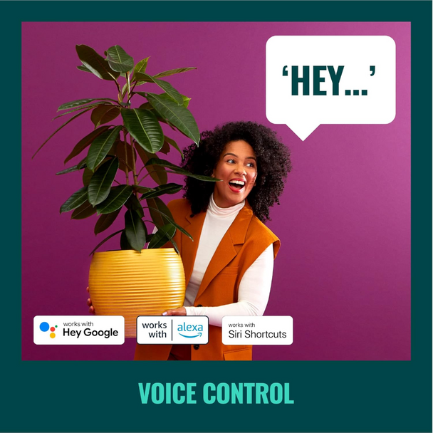 WiZ 4m Smart Wi-Fi LED Light Strip Starter Kit (RGB & White)