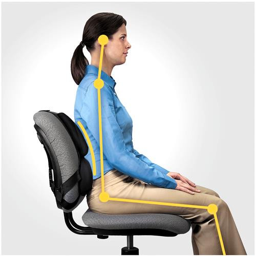 Fellowes Professional Series Ultimate Back Support For Chair