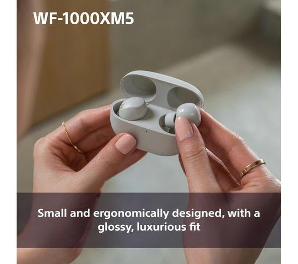 Sony WF-1000XM5 True Wireless Noise Cancelling Earbuds Black 