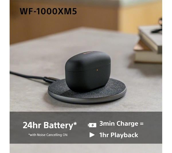 Sony WF-1000XM5 True Wireless Noise Cancelling Earbuds Black 