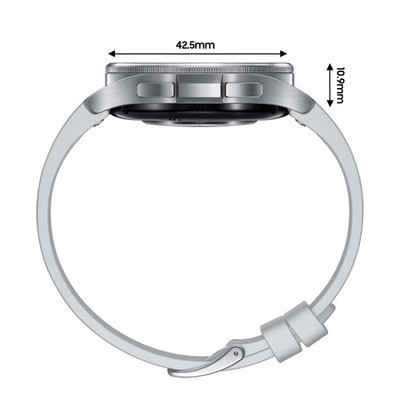 Samsung Galaxy Watch6 Classic 43mm BT Stainless Steel Silver SM-R950NZSAEUA