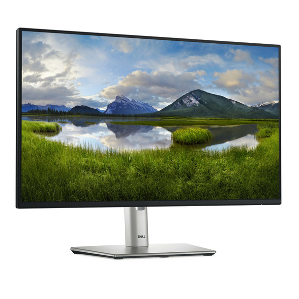 Dell P2425H 24 Inch Full HD IPS Monitor, 100Hz, Height Adjustable, Black