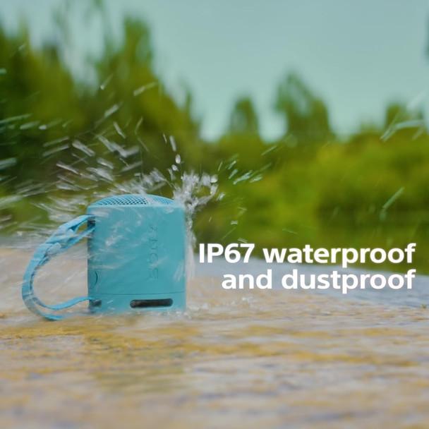 Sony SRS-XB100 Portable Bluetooth Speaker IP67 Waterproof Blue