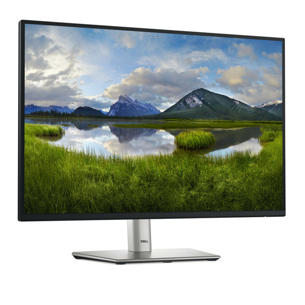 Dell 24" WUXGA 1920x1200 IPS Monitor 100Hz 16:10 HDMI DisplayPort VGA USB Hub