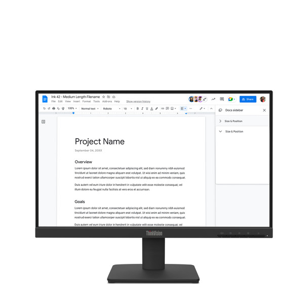 Lenovo ThinkVision S22-4e 21.5" Full HD IPS Monitor 100Hz 4ms HDMI VGA PC Screen