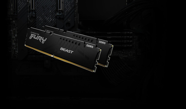 Kingston FURY Beast KF556C36BBE-16 16GB (1x 16GB) DIMM System Memory, 5600MHz, DDR5, CL36, Black, Intel XMP, AMD EXPO