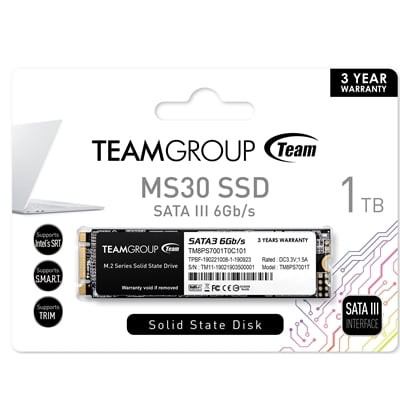 Team MS30 (TM8PS7001T0C101) 1TB, M.2 Sata Interface, Read 530MB/s, Write 480MB/s, 3 Year Warranty