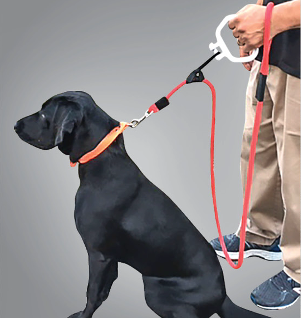 Pet Handle and Adjustable Dog Rope Leash Can Help Reduce Injuries To Dog and Pet Owner