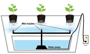 aeroponics2.png