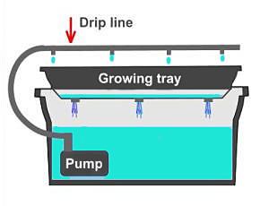 dripsystem1.jpg