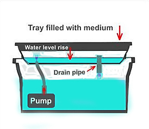 ebb-and-flow-system1.jpg