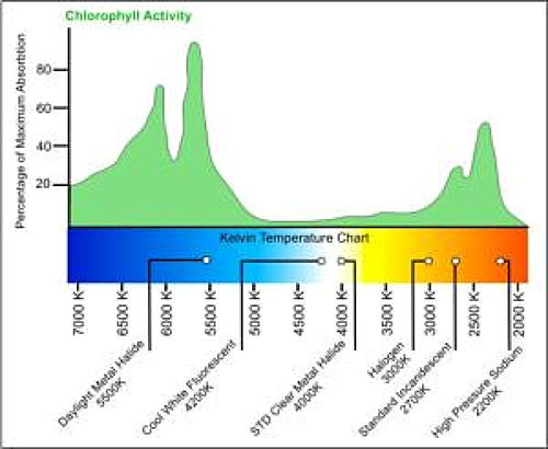 grow-lights-chart.jpg