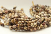 10mm Australian Zebra Jasper, Natural, Smooth Round