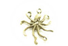 OCTOPUS, Antique Bronze Plated (metal alloy), 25x22x3mm, approx 10 per bag