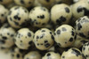 Jasper, Dalmatian, Natural, Smooth Round, 8mm, One Strand