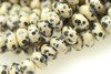 8x5mm, Dalmatian  Stone "Jasper", Natural, Smooth Rondelle