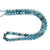 Apatite, Natural, Faceted Coin, 6mm, One Strand