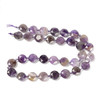 Amethyst, Mixed, Natural, Faceted, Hexagon Coin, One 10mm Strand