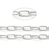 Stainless Steel Chain, 12x6mm, Paperclip, 3.3 ft.