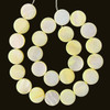 Shell, Yellow, Dyed, Smooth Coin, One 16mm Strand