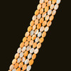Shell, Smooth Oval, Orange, Dyed