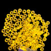 Seed Beads, 8/0 Czech, Round, Yellow Trans, 22 gram Tube