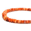 Spiny Oyster, Shell, Natural, Smooth Rondelle, Graduated Sizes, One 5-10mm Strand