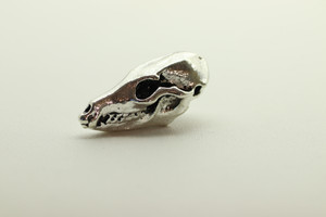 T-Rex Skull, Double Sided, 30x13x13mm, Antique Silver Plated (Metal Alloy), approx 3 per bag