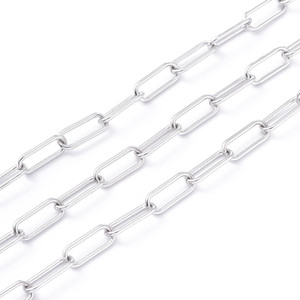 Stainless Steel Chain, 14x6mm, Paperclip, 3.3 ft.