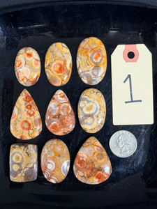 Birds Eye "Jasper", Rhyolite, Side Drilled, Pick Lot You Like, 100 Grams