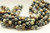 10mm, Picasso Jasper, Natural, Smooth Round