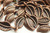 LEAF, Curled, 15x8x3mm, Antique Copper Plated (metal alloy), approx 45 per bag