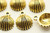 Clam Shell, 14x12x4.5mm, Antique Gold Plated (Metal Alloy), approx 15 per bag