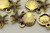 SHELL & STARFISH CONNECTOR, 18x12x2.5mm, Antique Gold Plated (Metal Alloy), approx 26