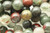 Bloodstone, Red, Natural, Smooth Round, 8mm, One Strand