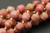 Rhodonite, Natural, Faceted Off Round, 6mm, One Strand