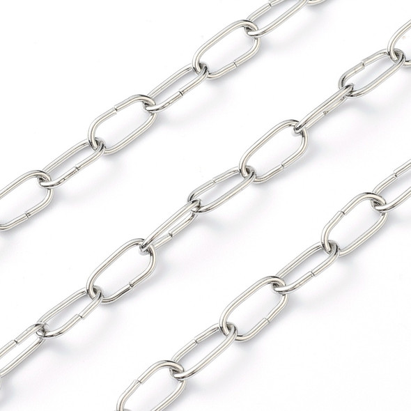 Stainless Steel Chain, 12x6mm, Paperclip, 3.3 ft.