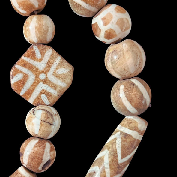 Petrified Palmwood, "Pumtek," Burma, Varied Sizes, 40in Strand