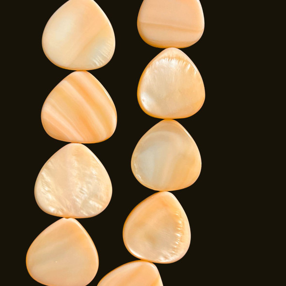 Shell, Smooth Drop, Orange, Dyed, 20mm
