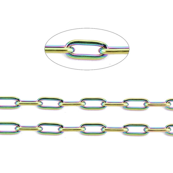 Stainless Steel Chain, Rainbow, 3x1mm, Paperclip, Soldered, 3.3 ft.