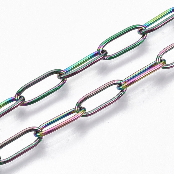 Stainless Steel Chain, Rainbow, 12x4mm, Paperclip, Soldered, 3.3 ft.