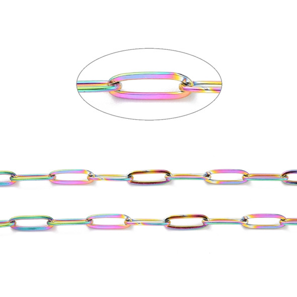 Stainless Steel Chain, Rainbow, 12x4mm, Flat Paperclip, Soldered, 3.3 ft.