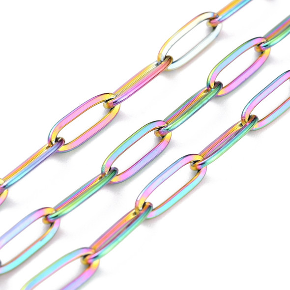 Stainless Steel Chain, Rainbow, 12x4mm, Flat Paperclip, Soldered, 3.3 ft.