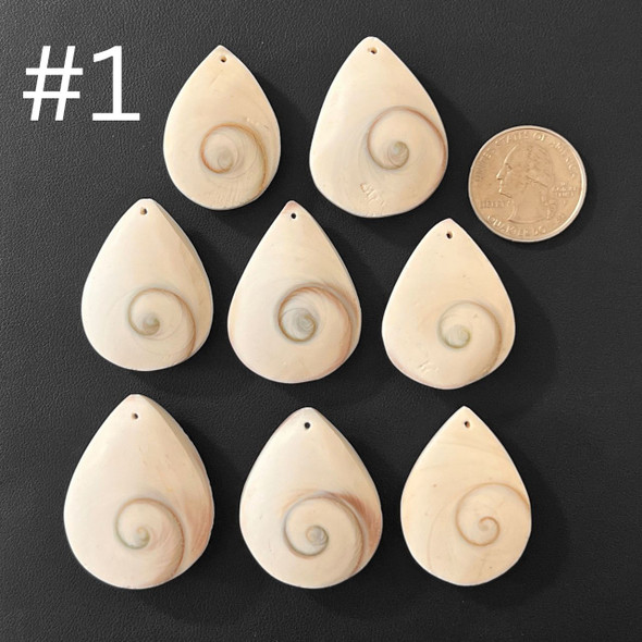 Shiva Shell, Drops, Pendants, 100 grams