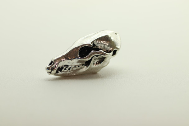 Dog Skull, Double Sided, 30x13x13mm, Antique Silver Plated (Metal Alloy), approx 3 per bag