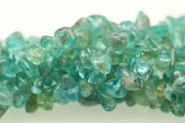 Apatite, Natural, Chips, 32in Strand, 8x4mm