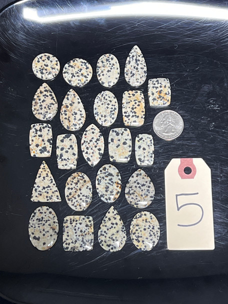 Dalmatian Stone "Jasper", Cabochons